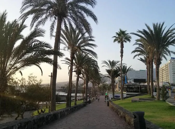 Apartmán Vina Del Mar *