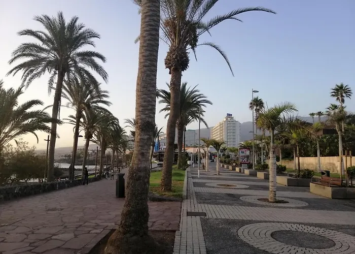 Vina Del Mar * Playa Feñabe